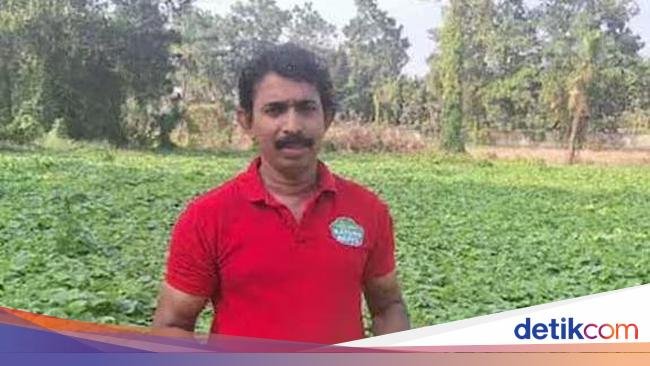 Hebat! Eks Akuntan Sukses Jadi Petani dan Ekspor Sayuran ke Dubai