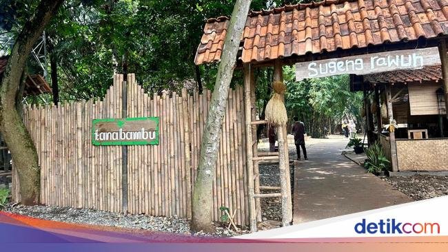 Joglo Asli Sragen di Lahan Bambu Ciangsana Jadi Daya Tarik Tanabambu
