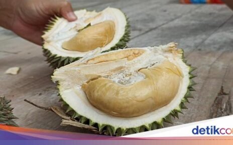 Deretan Makanan dan Minuman yang Tidak Boleh Dimakan Bersama Durian