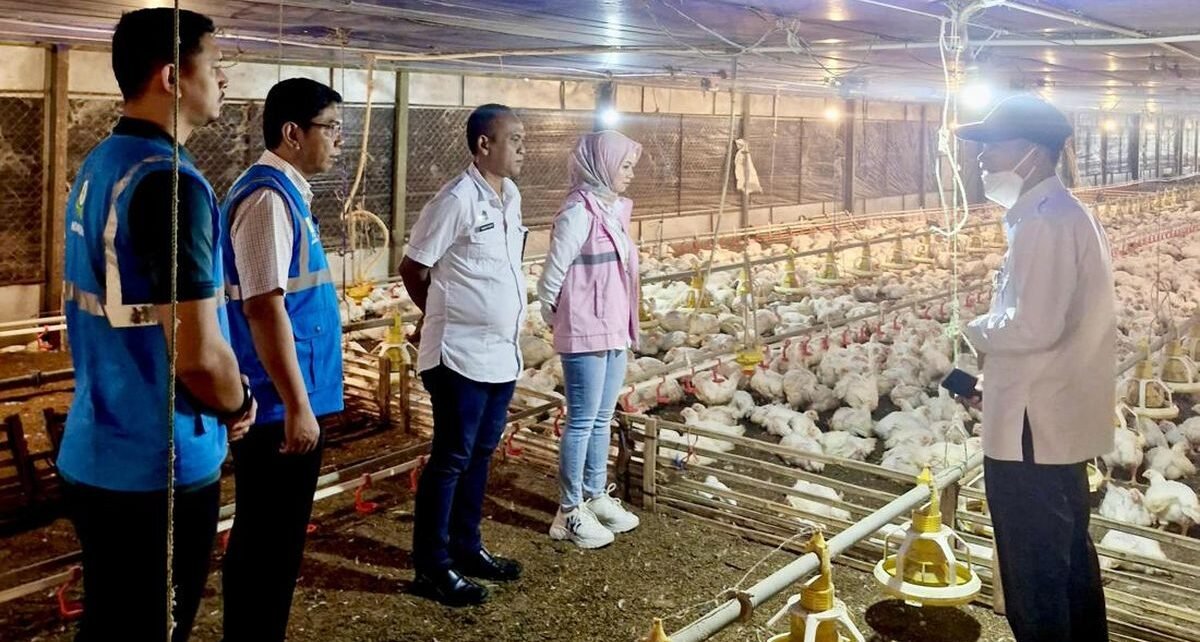 PLN Sukses Tekan Durasi & Frekuensi Gangguan Listrik Sepanjang 2024
