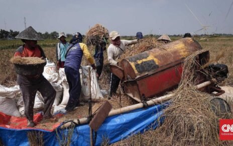 TNI Ikut Kawal Penjualan Gabah Petani Minimal Rp6.500 per Kg