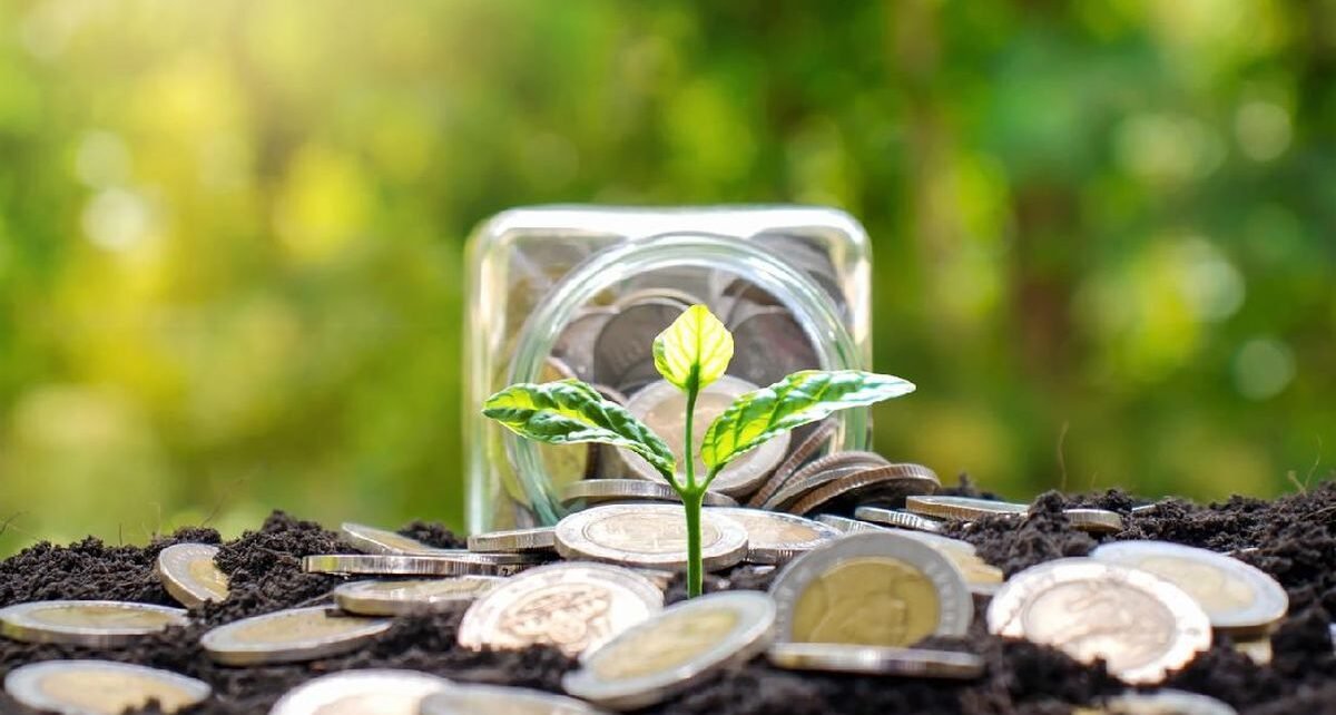 Gaji di Bawah Rp10 Juta, Baiknya Investasi Apa Supaya Cepat Cuan?