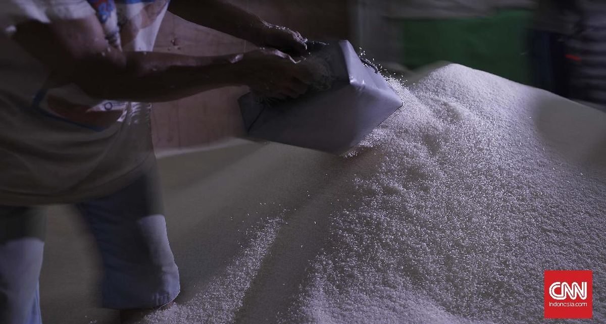 Mentan Jamin Stok dan Harga Beras Aman Jelang Bulan Puasa