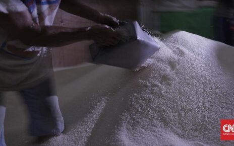 Mentan Jamin Stok dan Harga Beras Aman Jelang Bulan Puasa