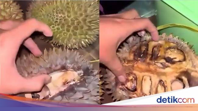 Apa Itu Durian Tewel yang Viral di Pasar Cheng Ho?