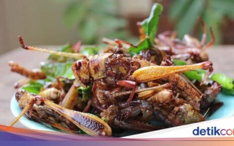Ini 5 Serangga Sumber Protein Tinggi, Belalang hingga Larva Lebah