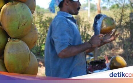 Beli Air Kelapa di Pinggir Jalan, Wanita Ini Justru Dapat Wejangan Hidup