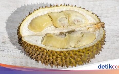 Bukan Cuma Daging Buahnya, Biji Durian Punya 5 Manfaat Sehat Ini