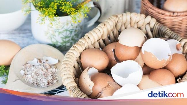 Jangan Dibuang! Cangkang Telur Bisa Jadi Pupuk Untuk Suburkan Tanaman