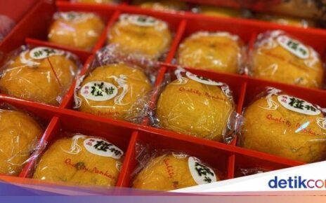 Ini 5 Varietas Jeruk Unik, Ada yang Sekilo Rp 140 Ribu!