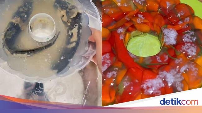 Kreasi 5 Puding dan Agar-agar Unik yang Bentuknya Bikin Mual