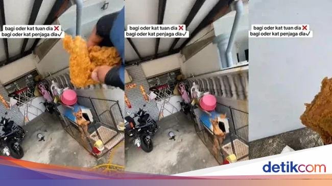 Kurir Makanan Ini Dapat Pesanan Ayam Goreng untuk Anjing Peliharaan
