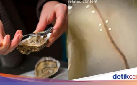 Ngeri! Wanita Ini Temukan Cacing Bergerak di Dalam Tiram Segar