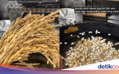 Eksperimen Goreng Padi dalam Minyak Panas, Ini Hasilnya
