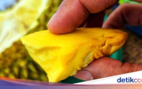 Menikmati Secangkir Kopi dengan Durian Musang King di Kafe Sukabumi