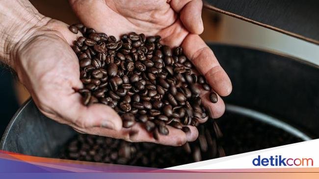 Mengenal 6 Varietas Kopi Populer, Ada Typica hingga Catuai