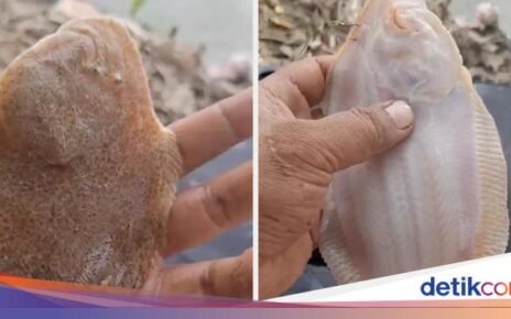 Penjual Es Pakai Banyak Kental Manis dan Uniknya Ikan Bekal Nabi Musa