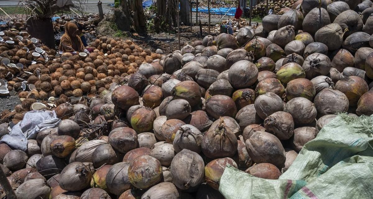 Harga Bahan Pokok Naik Jelang Lebaran, Kelapa Rp20 Ribu per Butir