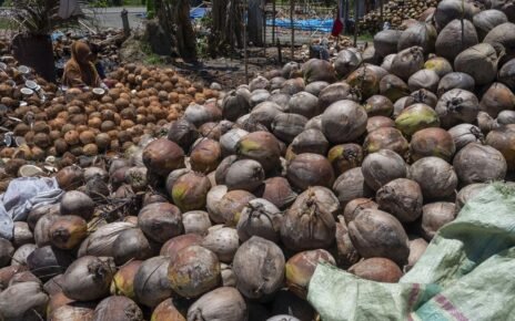 Harga Bahan Pokok Naik Jelang Lebaran, Kelapa Rp20 Ribu per Butir