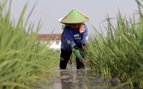 Stok Pupuk Nasional Dipastikan Aman Jelang Lebaran