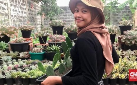 Kisah Sono Kaktus, UMKM Lawan Kemiskinan Bareng Shopee