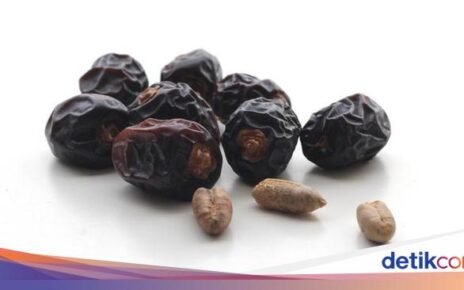 7 Kurma Kualitas Terbaik di Dunia, Salah Satunya Ajwa