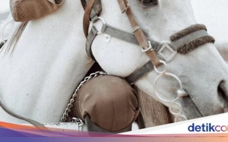 Ini Keseruan Dara Arafah Saat Makan Kue hingga Es Krim