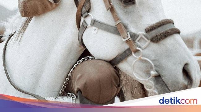 Ini Keseruan Dara Arafah Saat Makan Kue hingga Es Krim