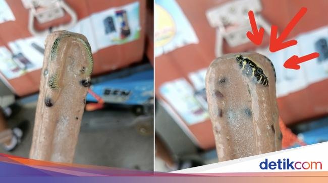Geli! Ada Ular Beku dalam Es Krim yang Dimakan Pria Ini