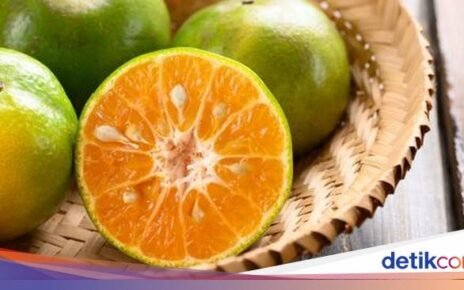Sah! Jeruk Kalamansi Bengkulu Tengah Ditetapkan Sebagai Indikasi Geografis