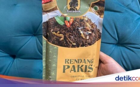 Rendang Pakis dan Itiak Lado Mudo yang Berempah Pekat