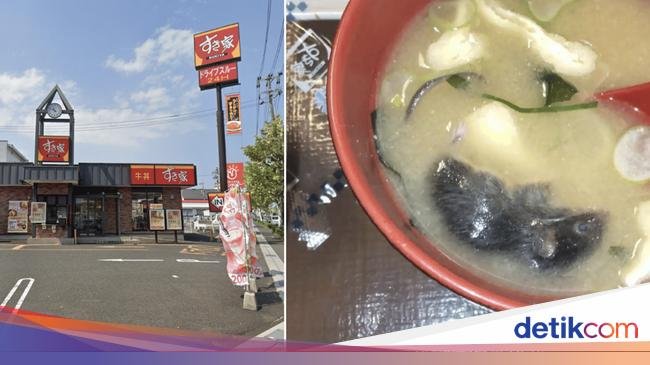 Resto Terkenal Ini Minta Maaf, Ada Temuan Tikus Mengapung di Sup Miso
