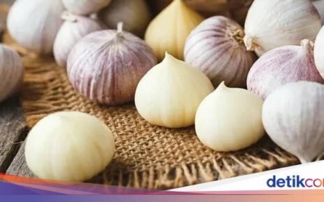 Uniknya 'Solo Garlic', Bawang Putih yang Hanya Terdiri dari 1 Siung