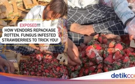 Jorok! Penjual Ini Kemas Ulang Stroberi Busuk untuk Dijual Lagi