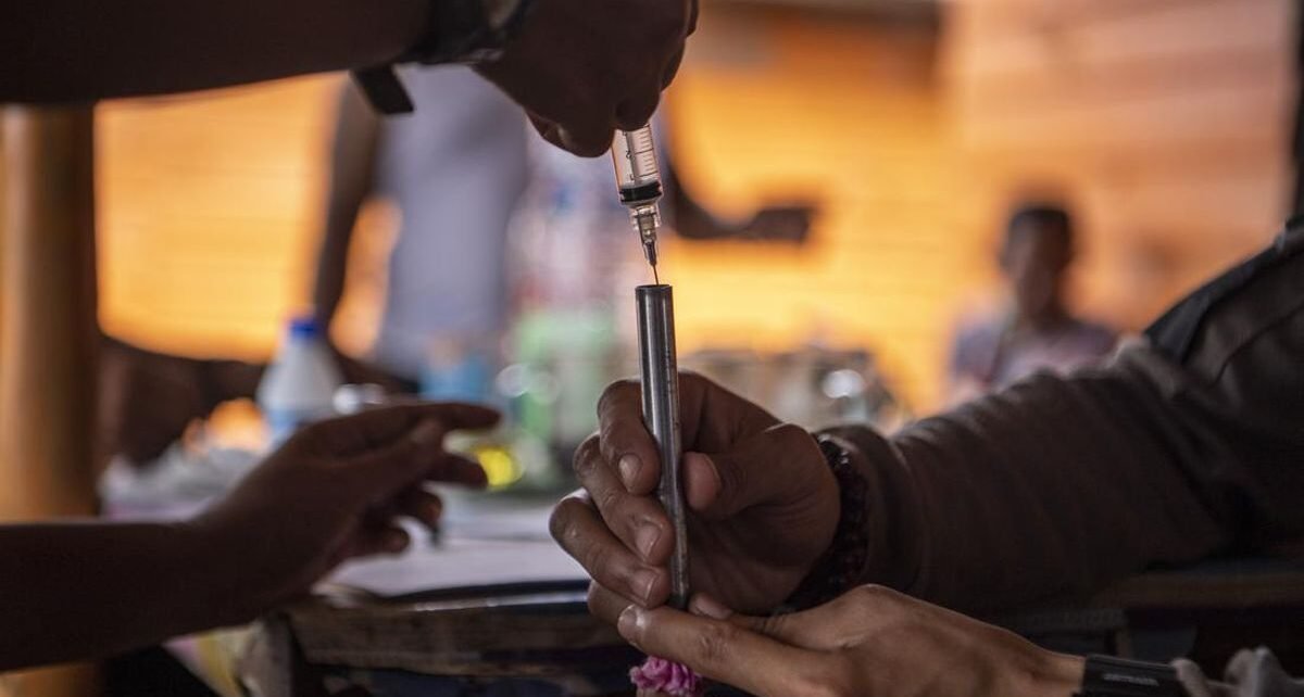 Korsel Bakal Kerek Pasar Obat Hewan hingga Rp45,44 T di 2035