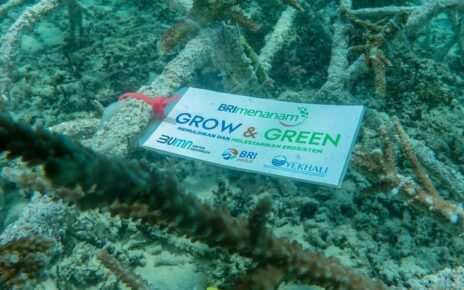 BRI Menanam Grow & Green Jadi Ujung Tombak Ekosistem Laut di NTB