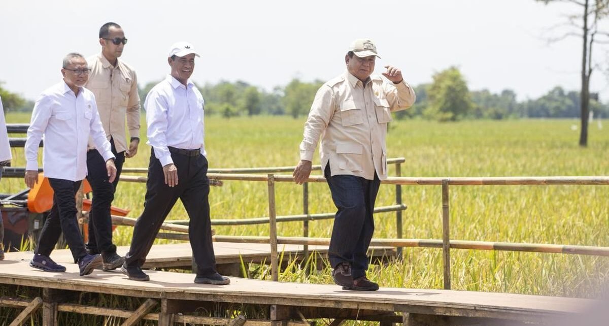 Setiap Saya Cari Mentan, Selalu Ada di Sawah