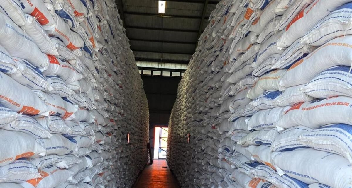 Bulog Sinergi Sewa Gudang, Amankan Stok Gabah dan Beras Panen Raya