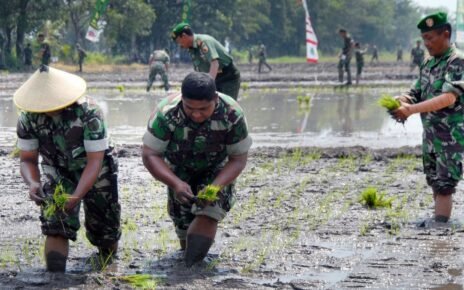 CSIS Kritik Terobosan Kebijakan Pemerintah, TNI Urus Pangan-Danantara