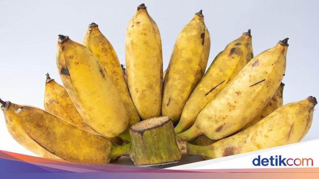 7 Jenis Pisang Terbaik di Dunia, Ada yang Populer di Indonesia!