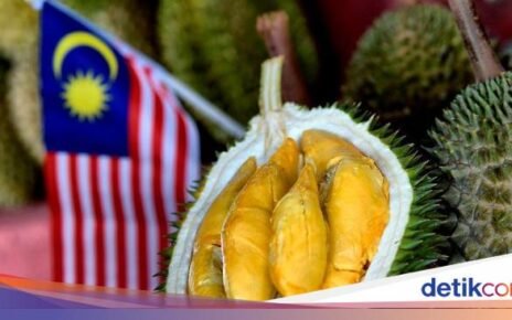 Durian 'Jatuh Pohon' Asal Malaysia Semakin Populer di China