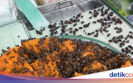 Gerobak Kue Dikerumuni Lebah hingga Viral Beras Korea di Jepang
