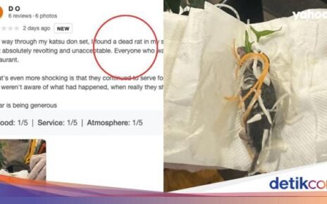 Jijik! Ibu Hamil Ini Temukan Bangkai Tikus Saat Makan Salad