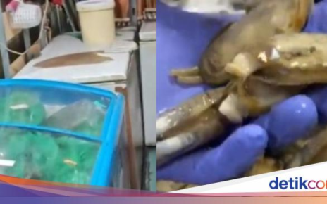 Kacau! Restoran Ini Ditutup Karena Simpan 300 Kg Daging Busuk