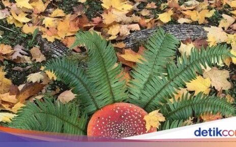 Keren! 10 Jamur yang Bentuknya Cantik hingga Menyeramkan