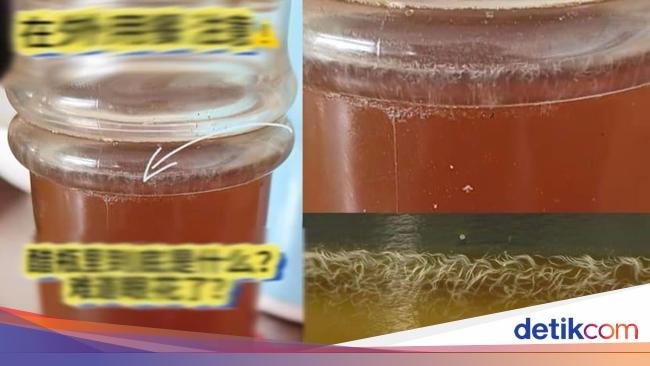 Merinding! Wadah Cuka Ini Dipenuhi Gerombolan Cacing, Ternyata Ini