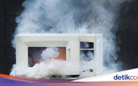 Pria Ini Masak Steak dan Sup Pakai Microwave Sampai Meledak