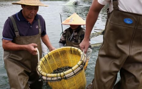 Nestapa Desa Nelayan China Terancam Perang Dangang AS