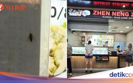 Protes Ada Kecoak saat Makan di Resto, Wanita Ini Diabaikan Karyawan