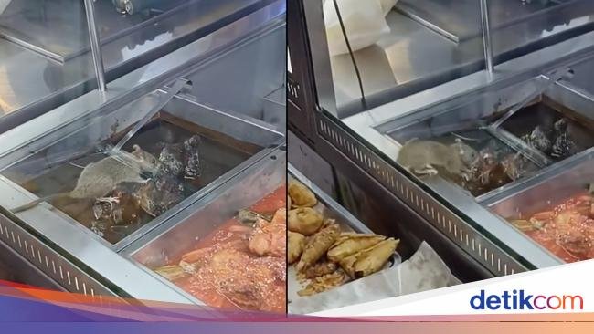 Heboh! Tikus Ketahuan Gerogoti Makanan di Resto Nasi Kandar Terkenal
